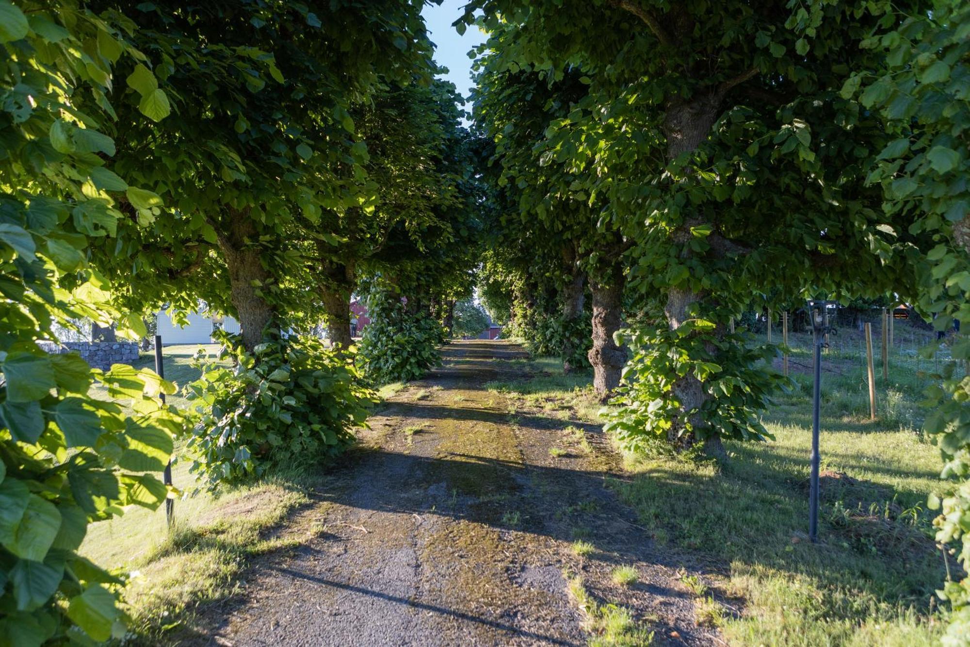 Dal Gjestegaard 3* Skoppum